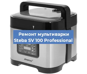 Ремонт мультиварки Steba SV 100 Professional в Ижевске